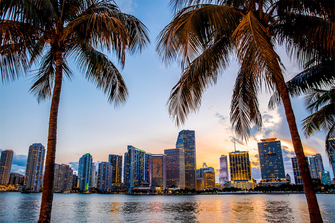 Plan Your Escape: Miami Beach Trip Ideas