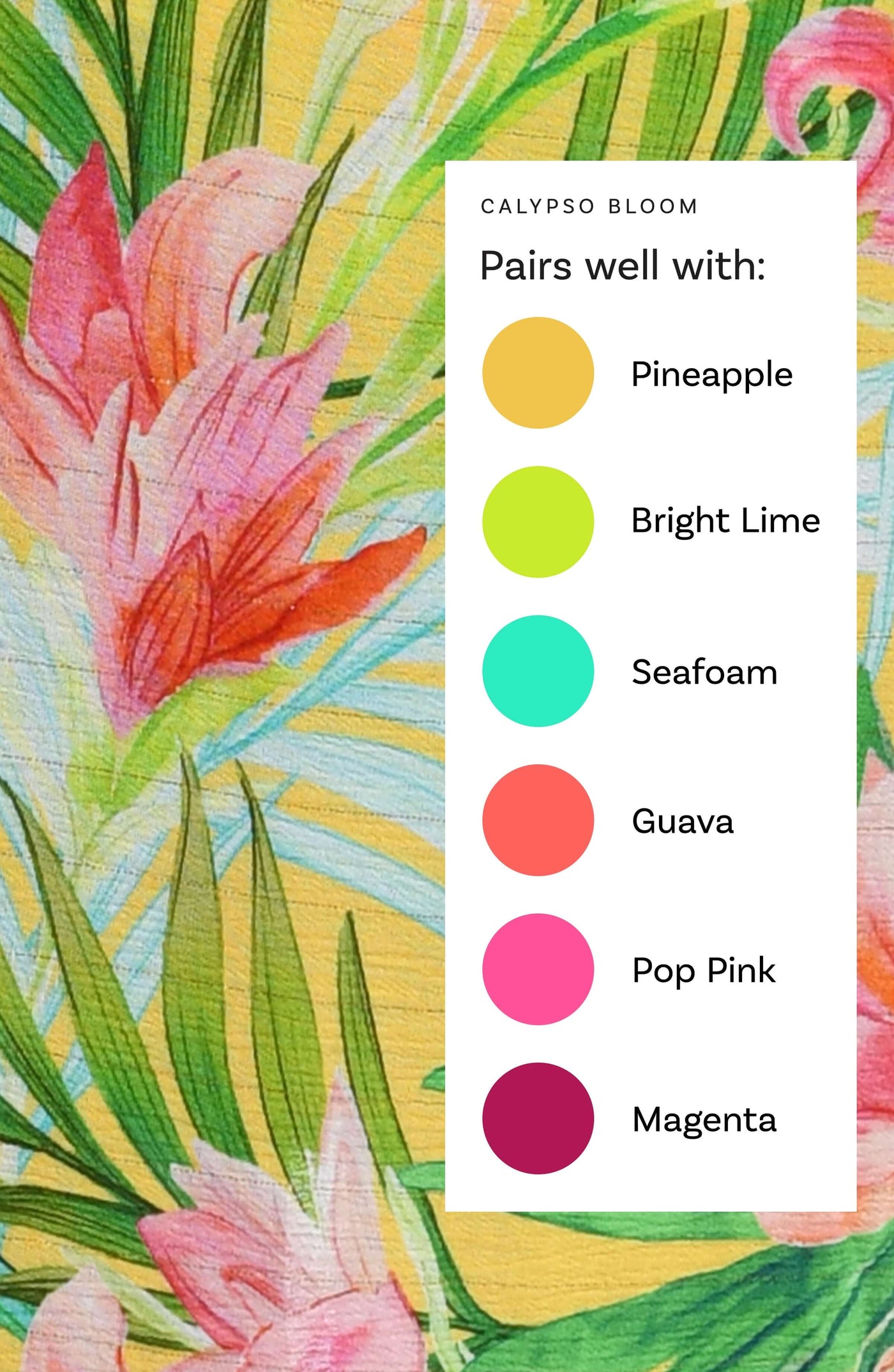 
                  
                    Calypso Bloom Color Chart
                  
                