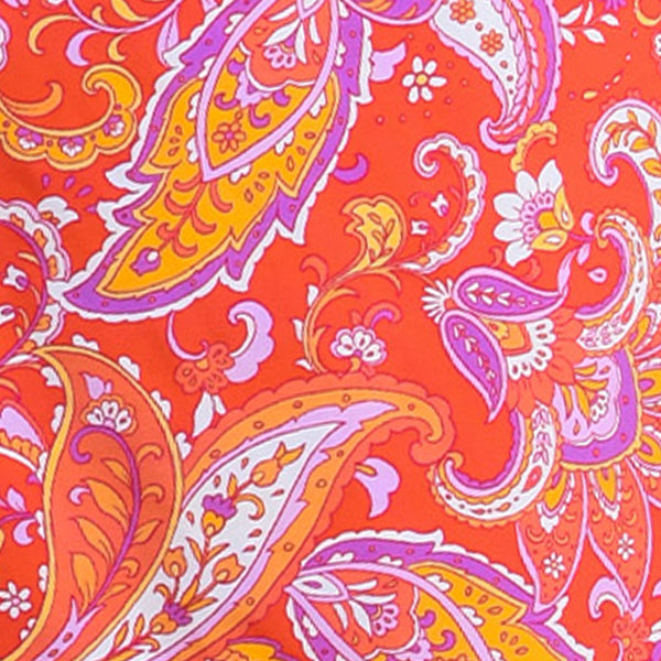 Paisley Daze